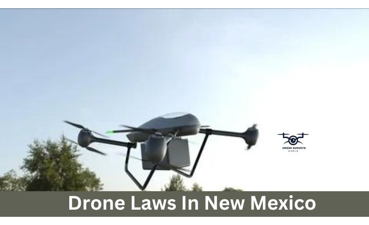 Drone Laws In New Mexico (Organized By State & Country In 2024) - Drone ...